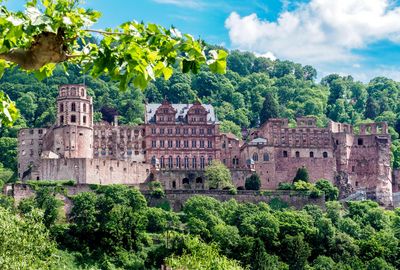 Schloss Heidelberg, Außenansicht