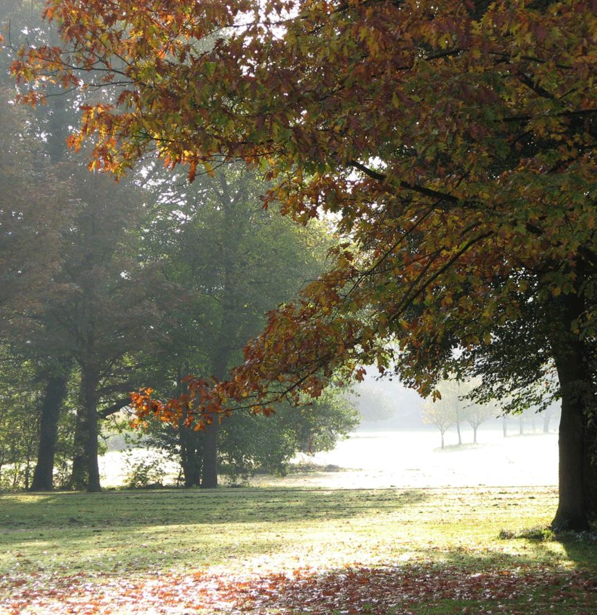 Herbst im Garten von Schloss Favorite Rastatt