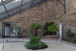 Sommerausstellung im Kalthaus, Botanischer Garten Karlsruhe