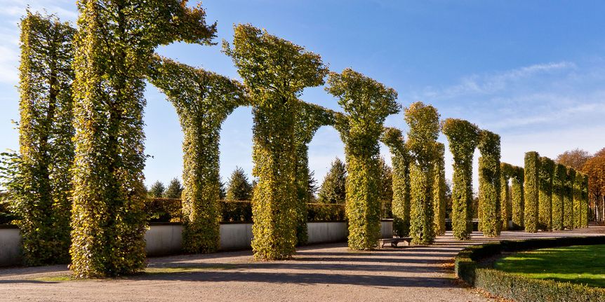 Schlossgarten Schwetzingen