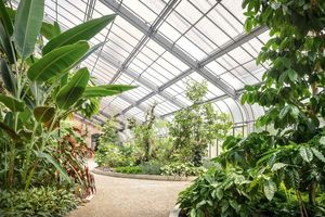 Botanischer Garten Karlsruhe, Warm- oder Tropenhaus