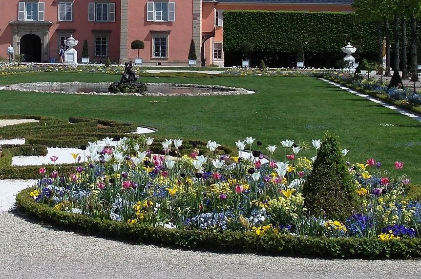 Frühjahrsflor im Schlossgarten