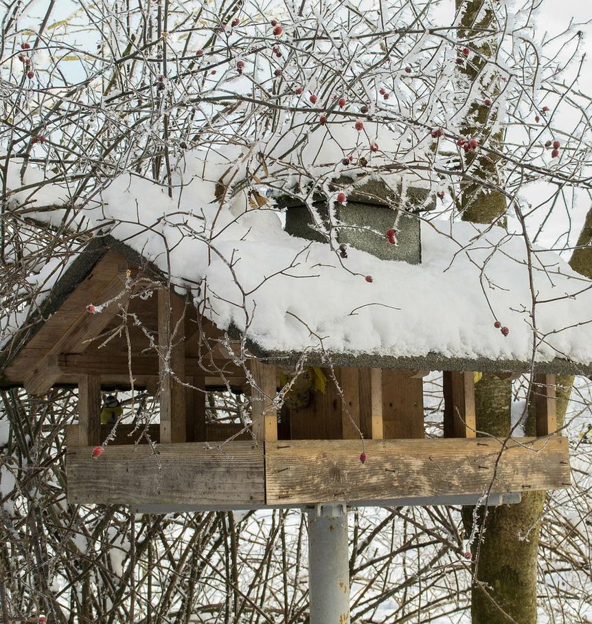 Vogelhäuschen im Schnee