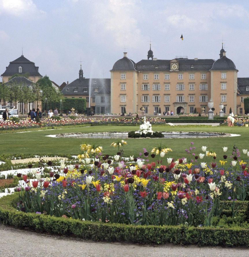 Tulpen im Schlossgarten Schwetzingen