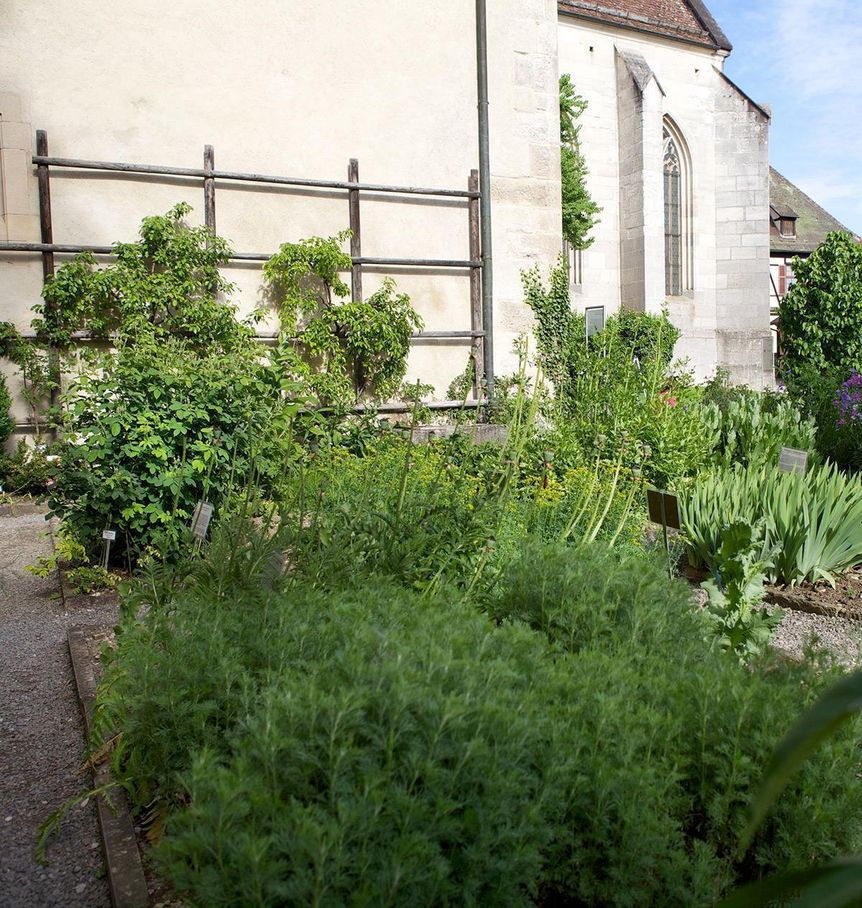 Kräutergarten im Kloster Bebenhausen